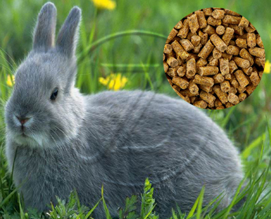 Rabbit Feed Production Line