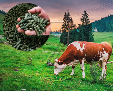 Cattle Feed Production Line