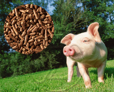 Pig Feed Production Line